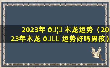 2023年 🦁 木龙运势（2023年木龙 🐕 运势好吗男孩）